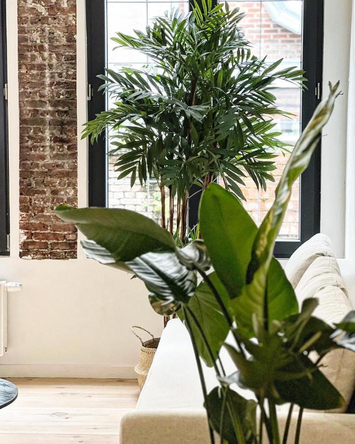Gigi Home'S Anvers Extérieur photo