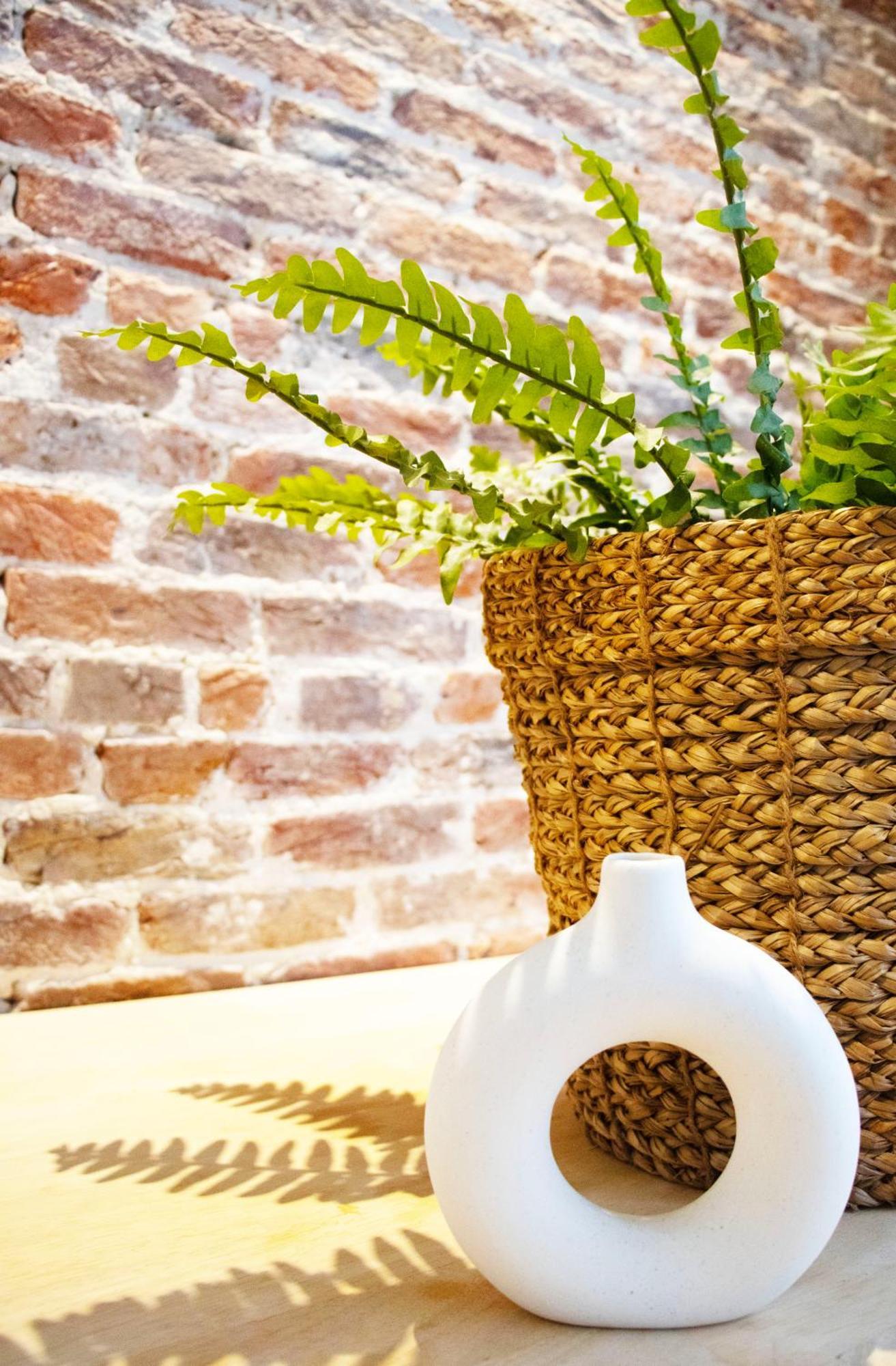 Gigi Home'S Anvers Extérieur photo